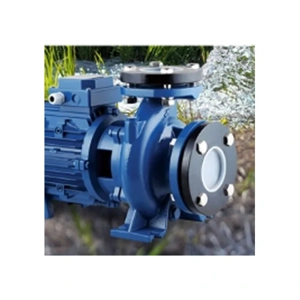 Irrigation Pump