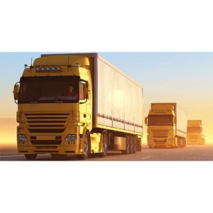 uae/images/productimages/al-mas-cargo-llc/freight-service/land-cargo.webp