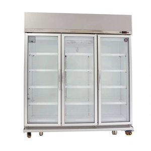 Commercial Freezer