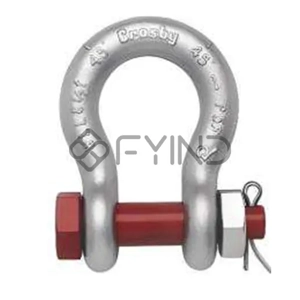Bow Shackle