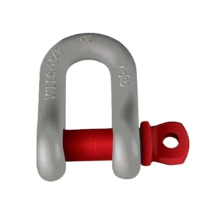 Dee Shackle