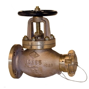Globe Valve