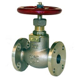Globe Valve