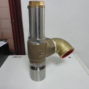 Pneumatic Valve