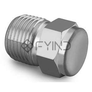 Pipe Plug