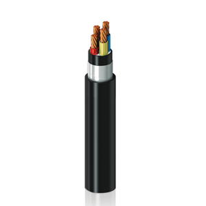 Power Cable
