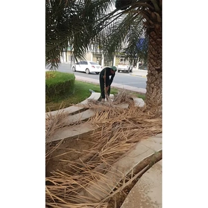 Tree Trimming Service
