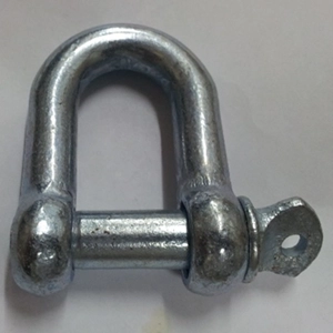 Dee Shackle
