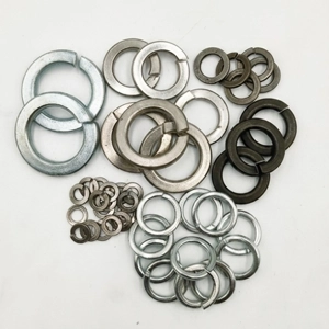 Spring Washer
