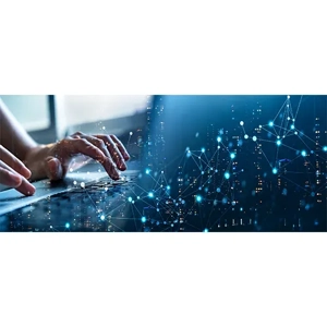 Software Development Service