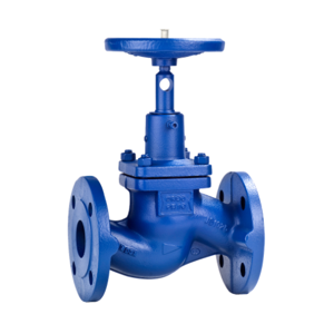 Globe Valve