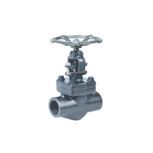 Globe Valve