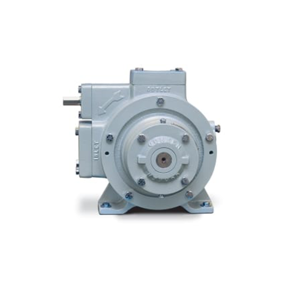 Cryogenic Pump