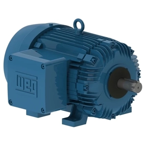 Electric Motor