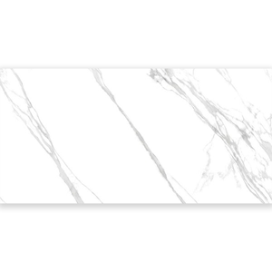 Porcelain Tile