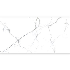 Porcelain Tile