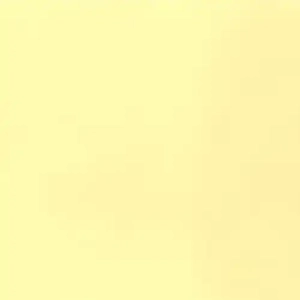 Enamel Paint