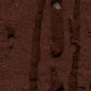 Textured Paint