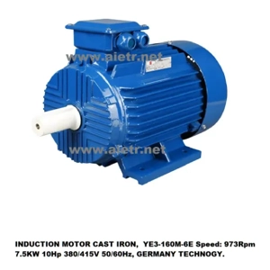Induction Motor