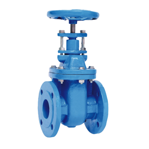 Gate Valve