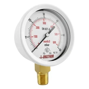 Pressure Gauge
