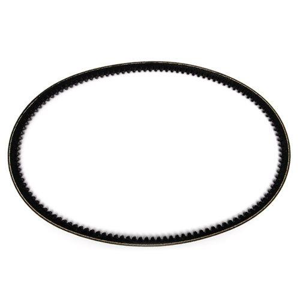 V Belt