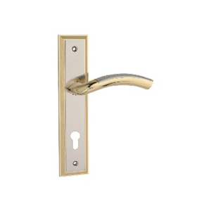 uae/images/productimages/aqmm-general-trading-llc/door-handle/euroart-brass-lever-on-backplate-blb1020-standard.webp