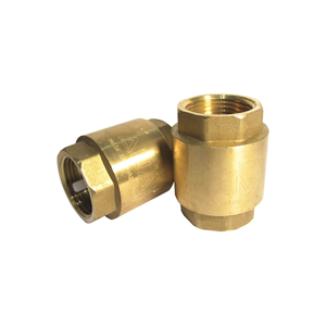 Check Valve