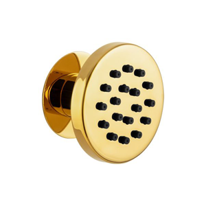 Shower Head