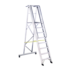 Scaffolding Ladder