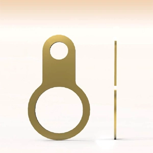Earth Tag