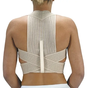 Support Belt