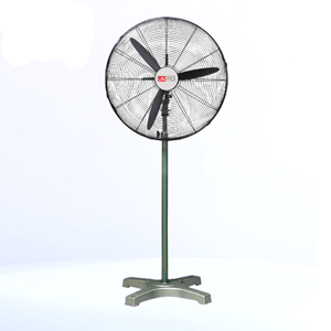 Pedestal Fan