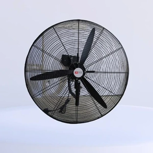 Wall Fan