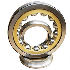 Contact Bearing