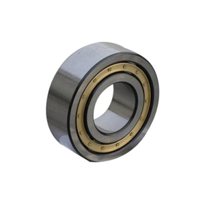 Roller Bearing