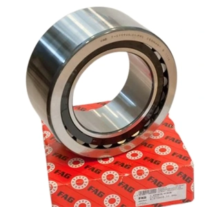 Roller Bearing