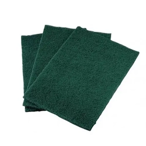 Scouring Pad