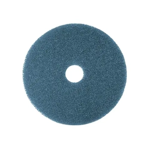 Scouring Pad