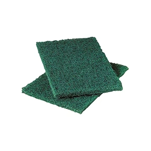 Scouring Pad