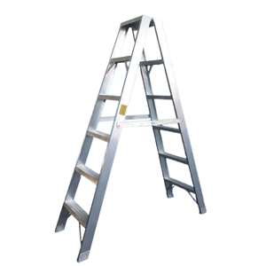 Two Way Ladder