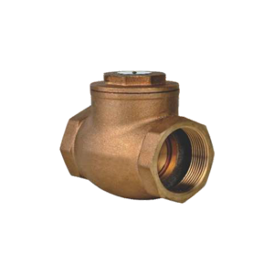Check Valve