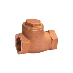 Check Valve