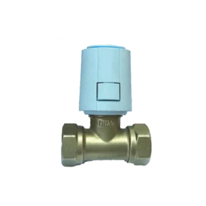 Control Valve
