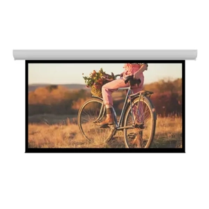 Projection Screen