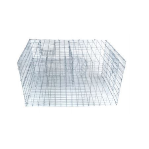 uae/images/productimages/azalea-general-trading-co.-llc/insect-trap/sparrow-cage-trap-sp2-16-x-12-x-6-in.webp