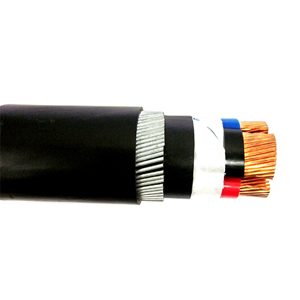 Power Cable