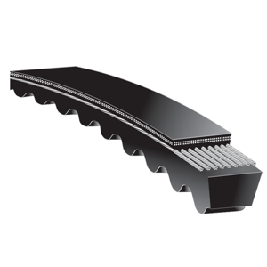V Belt