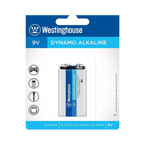 Alkaline Battery