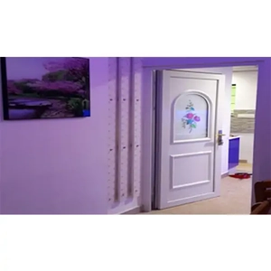 UPVC Door